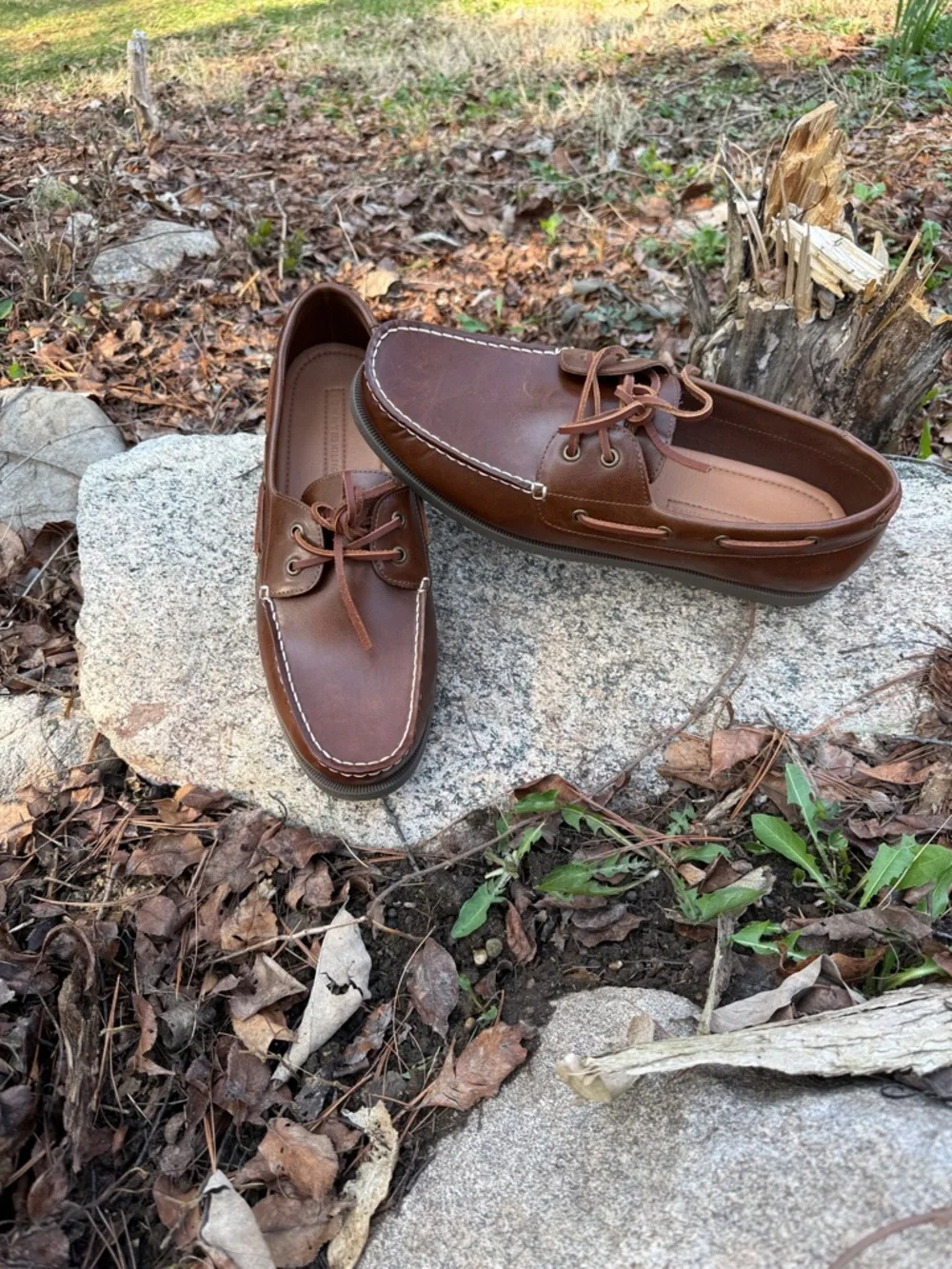 Tommy Hilfiger elegant brown